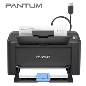 Impresora Pantum Monocromática P2516 Usb Negro